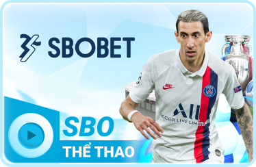 icon-the-thao-hi884